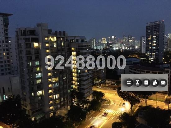 Soleil @ Sinaran (D11), Condominium #131186532